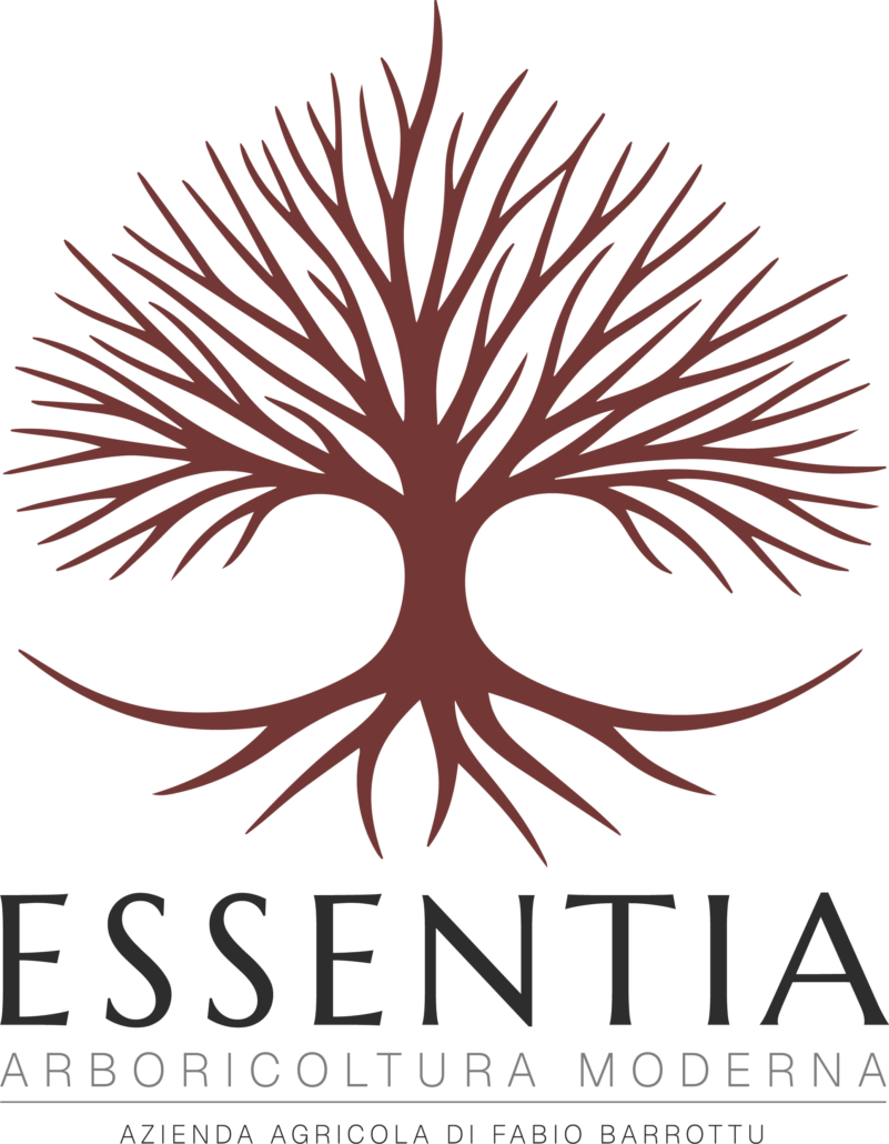 ESSENTIA